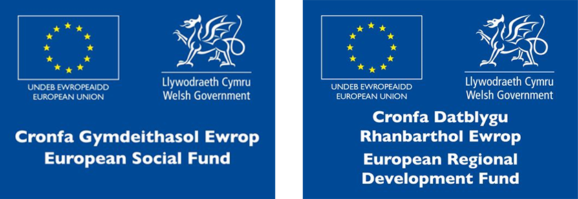 Welsh Government & European Support