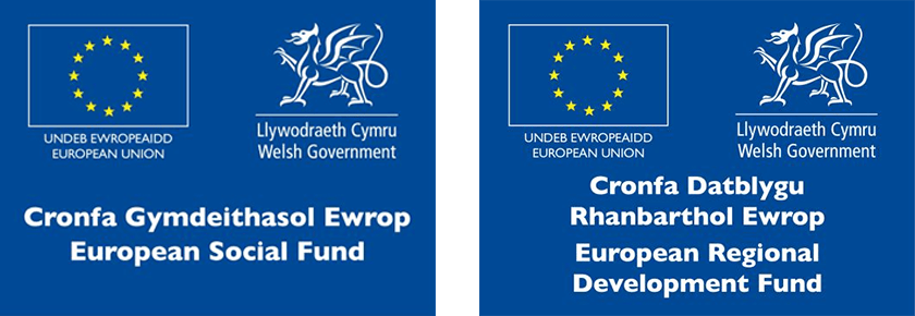 Welsh Government & European Support