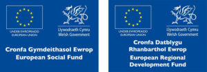 European Regional Development Fund Logo