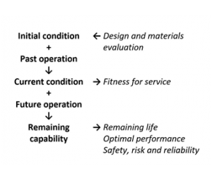 Life Extension and Performance Optimisation