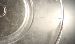 Plate cover, showing large crack and craze cracking